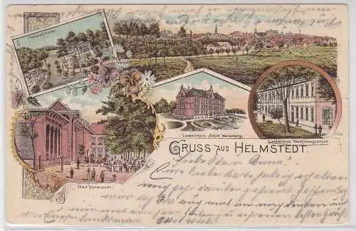 06131 Ak Gruß aus Helmstedt, Waldfriede, Landwirtsch. Schule Marienberg, 1903
