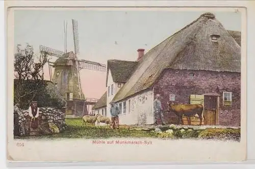 40502 Ak Mühle auf Munkmarsch Sylt um 1900
