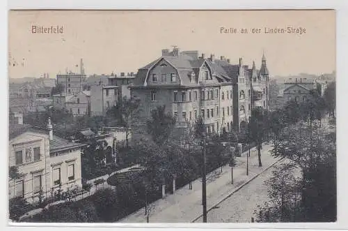 15774 Ak Bitterfeld, Partie an der Linden-Straße, Totalansicht, 1918