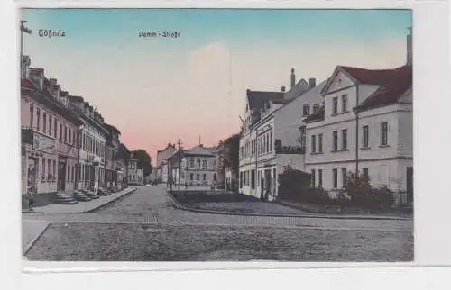 08043 Ak Gößnitz Dammstrasse um 1910