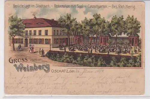27670 Ak Lithographie Gruß vom Weinberg Oschatz 1904