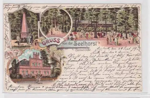 00440 Ak Lithographie Gruß von der Seelhorst beei Bemerode 1899