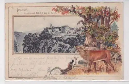 908206 geprägte Rahmen Ak Bodethal - Hirsch im Wald, Rosstrappe 1902