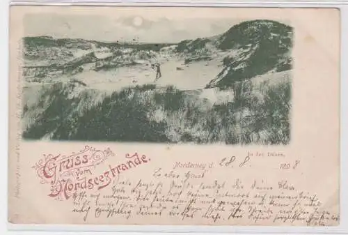 901162 Lithographie Ak Gruss vom Nordseestrand Norderney - In den Dünen 1898