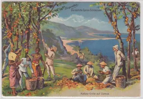 901442 Riquetta Schokolade Reklame Ak Kakao Ernte auf Samoa um 1920