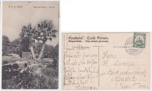 901454 Ak Windhuk Regierungs-Garten Deutsch Süd-Westafrika Namibia 1908