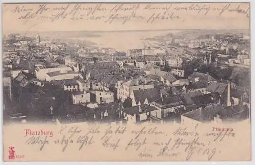 901599 AK Flensburg - Panorama, Ortsansicht 1903
