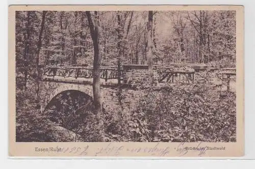 75936 Ak Essen Ruhr Brücke im Stadtwald 1918