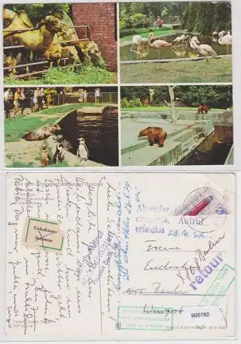 905782 AK Rostock - Aus dem zoologischen Garten, Kamele Flamingos Pinguine 1974