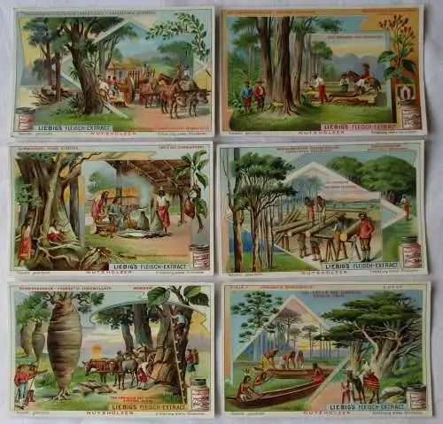 Liebigbilder Serie Nr. 651 Nutzhölzer Jahrgang 1905 (6/131787)