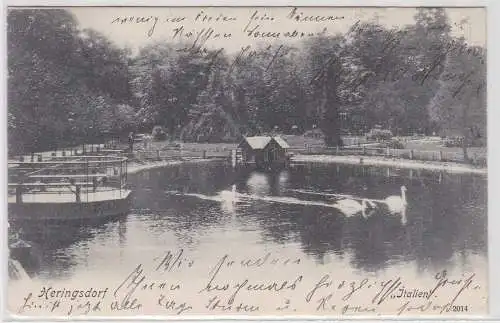 51484 Ak Heringsdorf "Italien" Teich mit Schwänen 1904