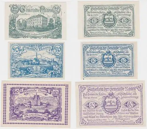 20, 40 und 60 Heller Banknote Naarn 31.12.1920 (141463)