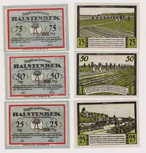 25 - 75 Pfennig Banknote Notgeld Gemeinde Halstenbek 1921 (154376)