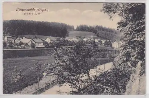 14591 Ak Bienenmühle (Erzgebirge) Totalansicht 1911