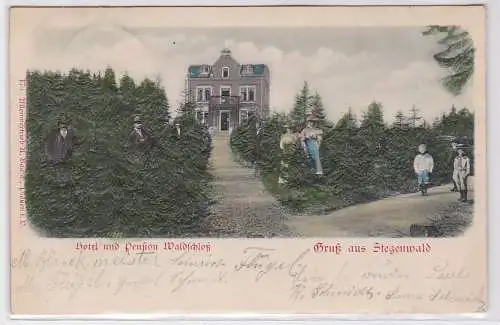 90904 Relief AK Gruß aus Stegenwald - Hotel und Pension Waldschloß 1900