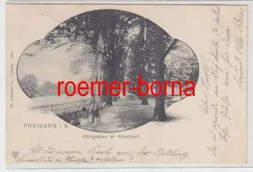 76857 Ak Freiberg in Sachsen Königsallee im Albertpark 1901