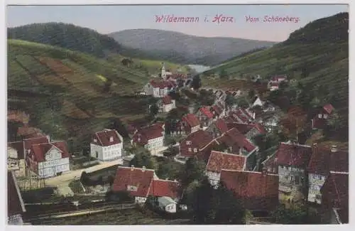 903180 AK Wildemann im Harz vom Schöneberg um 1910