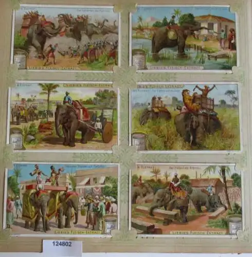 C124802 Liebigbilder Serie Nr. 527 Der Elefant 1902