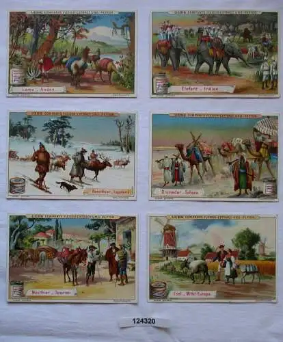 4/124320 Liebigbilder Serie Nr. 434 Last- und Nutztiere 1899