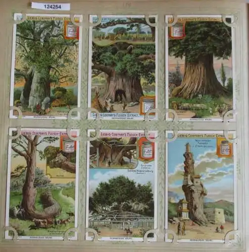 C124254 Liebigbilder Serie Nr. 539 Merkwürdige Bäume 1902