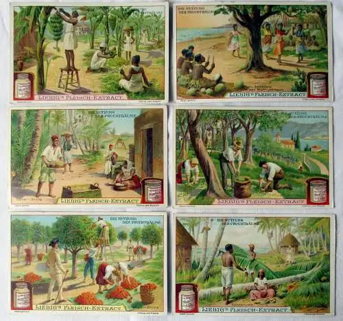 Liebigbilder Serie Nr. 713 Die Nutzung der Fruchtbäume Jahrgang 1907 (6/133183)