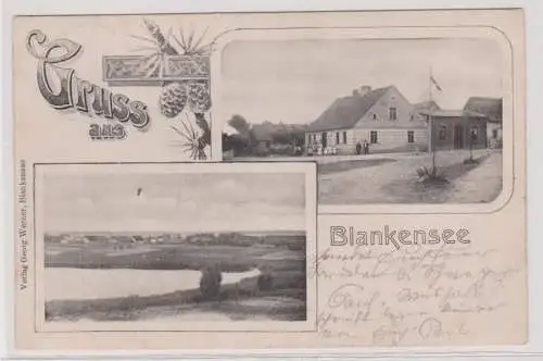 43168 Mehrbild Ak Gruß aus Blankensee Ortsansichten 1910