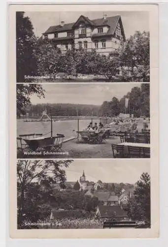 75464 Mehrbild Ak Schmannewitz - Villa Olga, Waldbad, Totalansicht 1954