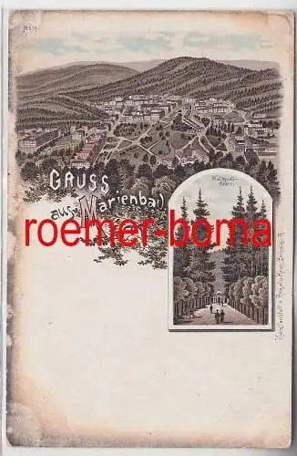 72154 Ak Lithografie Gruss aus Marienbad mit Waldquell-Allee um 1900