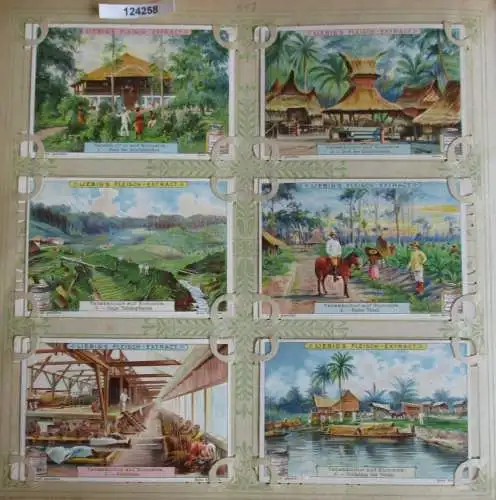 C124258 Liebigbilder Serie Nr. 547 Tabakkultur auf Sumatra 1902