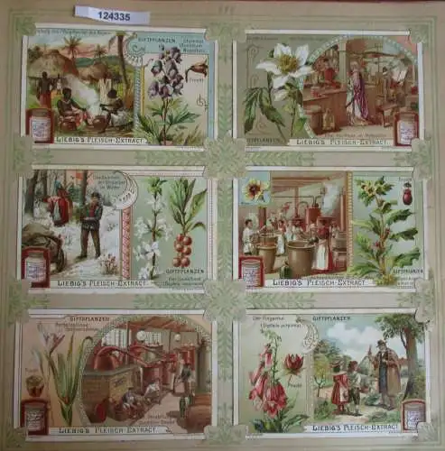 C124335 Liebigbilder Serie Nr. 594 Giftpflanzen 1904