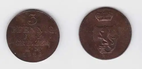 3 Pfennige Kupfer Münze Reuss ältere Linie 1828 (132090)
