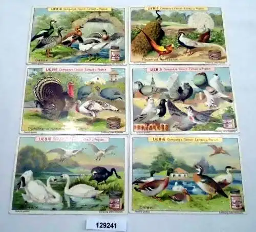 Liebigbilder Serie Nr. 427 Geflügelarten Jahrgang 1899 (5/129241)
