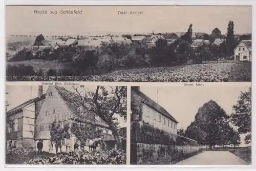 900675 Mehrbild Ak Gruß aus Schönfeld Gasthof, große Linde usw.1916