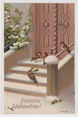 64427 Präge AK Fröhliche Weihnachten! Spatzen auf verschneiter Treppe 1909