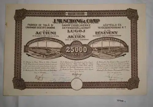 1000 Lei 25 Aktien J. Muschong & Comp Dampfziegelwerke AG Lugoj 1925 (127045)