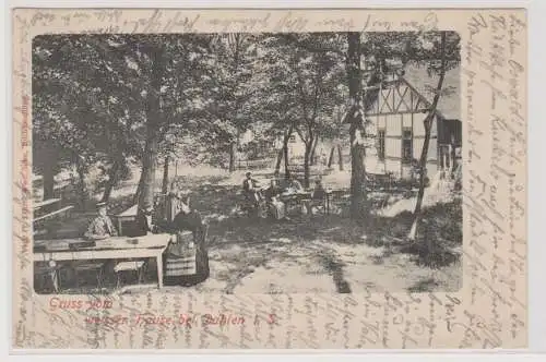 68754 AK Gruss vom weissen Hause bei Dahlen in Sa. - Gartenpartie 1902