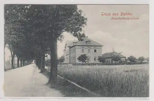 43590 Ak Gruss aus Dahlen - Haushaltungsschule, Straßenansicht Allee 1915