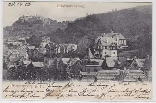 97037 AK Blankenburg am Harz - Rübeländerstrasse, Totalansicht 1905