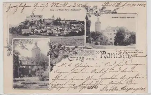 05036 Ak Gruss aus Ranis - Burg mit innerem Burghof, Totalansicht 1904