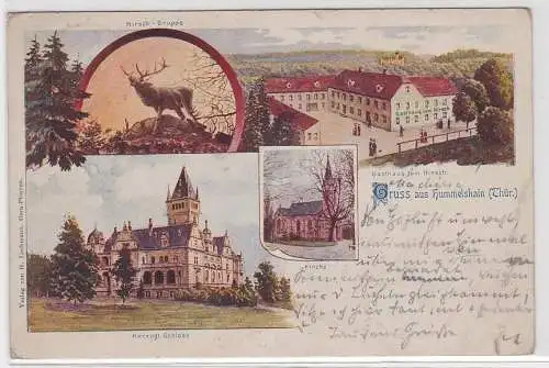 17661 Ak Gruss aus Hummelshain - Gasthaus zum Hirsch, Herzogl. Schloss 1901