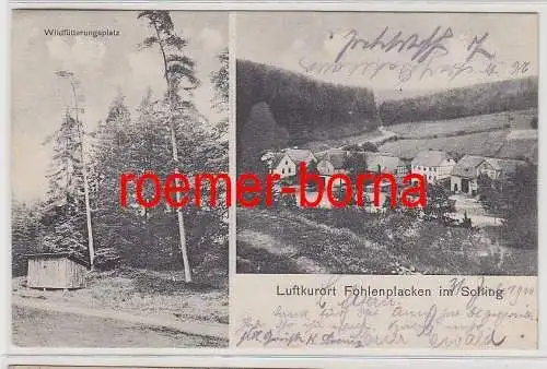 73125 Mehrbild Ak Luftkurort Fohlenplacken im Solling 1910