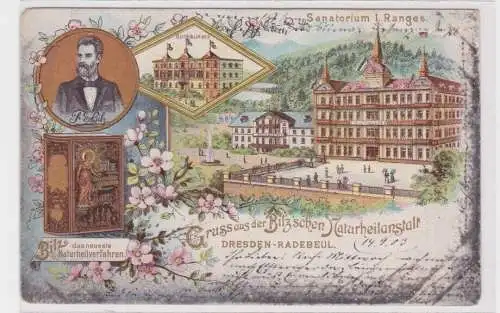 907846 Ak Gruss aus der Bilz'schen Naturheilanstalt Dresden-Radebeul 1903