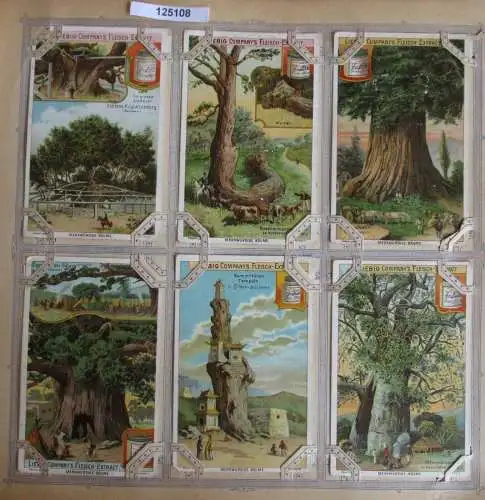 A125108 Liebigbilder Serie Nr. 539 Merkwürdige Bäume I 1902