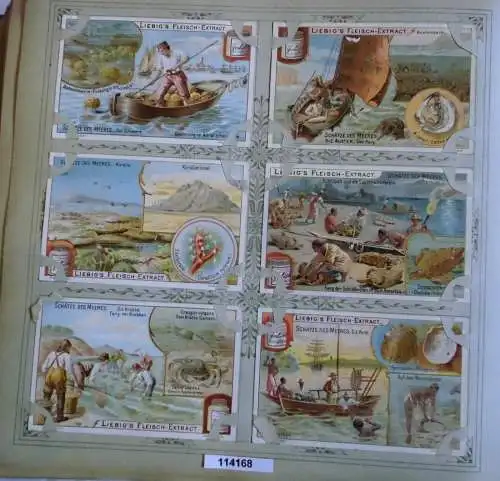 Liebigbilder Serie 544, Schätze des Meeres, komplett 1902 (L114168)