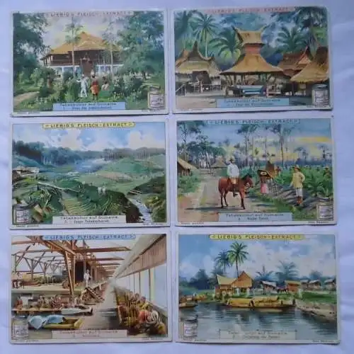 Liebigbilder Serie Nr. 547, Tabakkultur auf Sumatra, komplett 1902 (L122944)