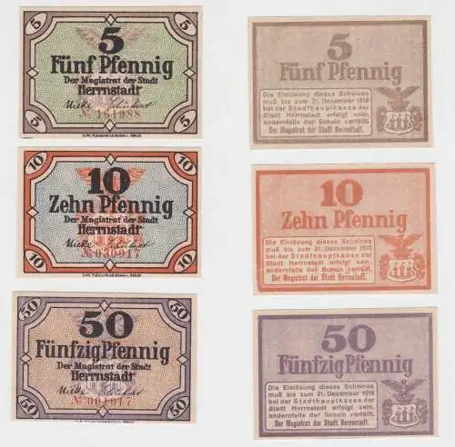 Kompletter Satz Banknoten Notgeld Stadt Herrnstadt Wasosz 31.12.1919 (136034)