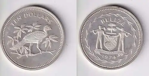 10 Dollar Silber Münze Belize GREAT CURASSOW BIRD 1974 PP (158437)