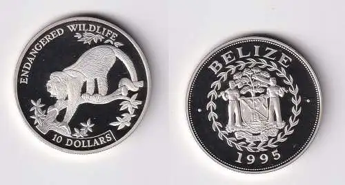 10 Dollar Silber Münze Belize Bedrohte Tierwelt Brüllaffe 1995 PP (154876)