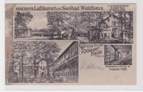 907535 Ak Gruß aus der Dölauer Haide bei Halle a.S. Leistners Etablissement 1919