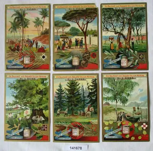 Liebigbilder Serie 350 Die Baumwelt vom Äquator bis zum Nordcap 1897 (7/141678)